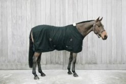 Kentucky Horsewear Cotton Sheet Black -Pet Supplies Sales Shop kentucky horsewear cotton sheet black 571513 en