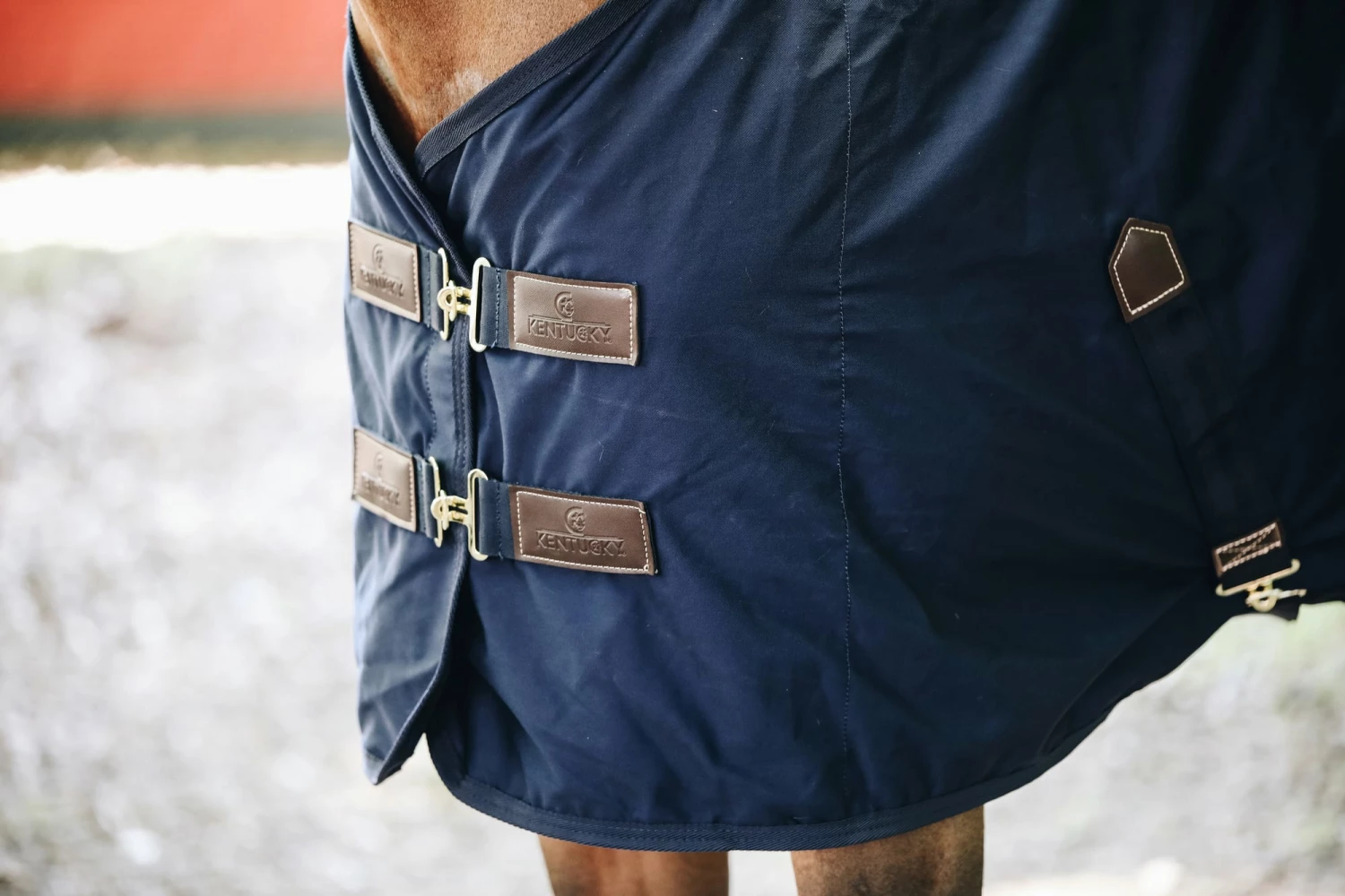 Kentucky Horsewear Cotton Sheet - Navy 6 Kentucky Horsewear Cotton Sheet - Navy - Image 6