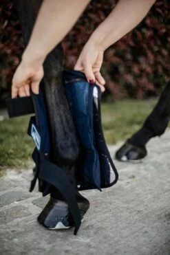 Kentucky Horsewear Cryo Ice Boots -Pet Supplies Sales Shop kentucky horsewear cryo ice boots 1 pair 571662 en