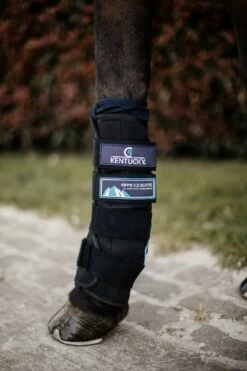 Kentucky Horsewear Cryo Ice Boots -Pet Supplies Sales Shop kentucky horsewear cryo ice boots 1 pair 571672 en