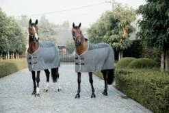 Kentucky Horsewear Fleece Rug Heavy 8 Kentucky Horsewear Fleece Rug Heavy -Pet Supplies Sales Shop kentucky horsewear fleece rug heavy 541603 en