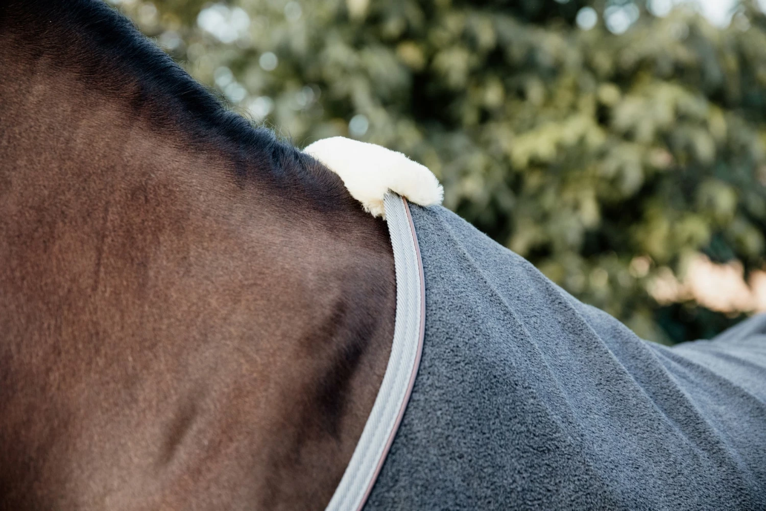 Kentucky Horsewear Fleece Rug Heavy 4 Kentucky Horsewear Fleece Rug Heavy - Image 4