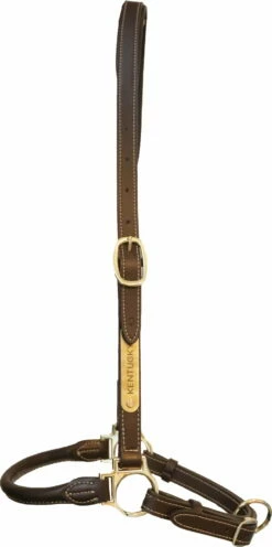 Kentucky Horsewear Grooming Halter