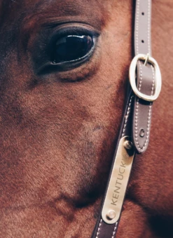 Kentucky Horsewear Grooming Halter -Pet Supplies Sales Shop kentucky horsewear grooming halter 516019 en