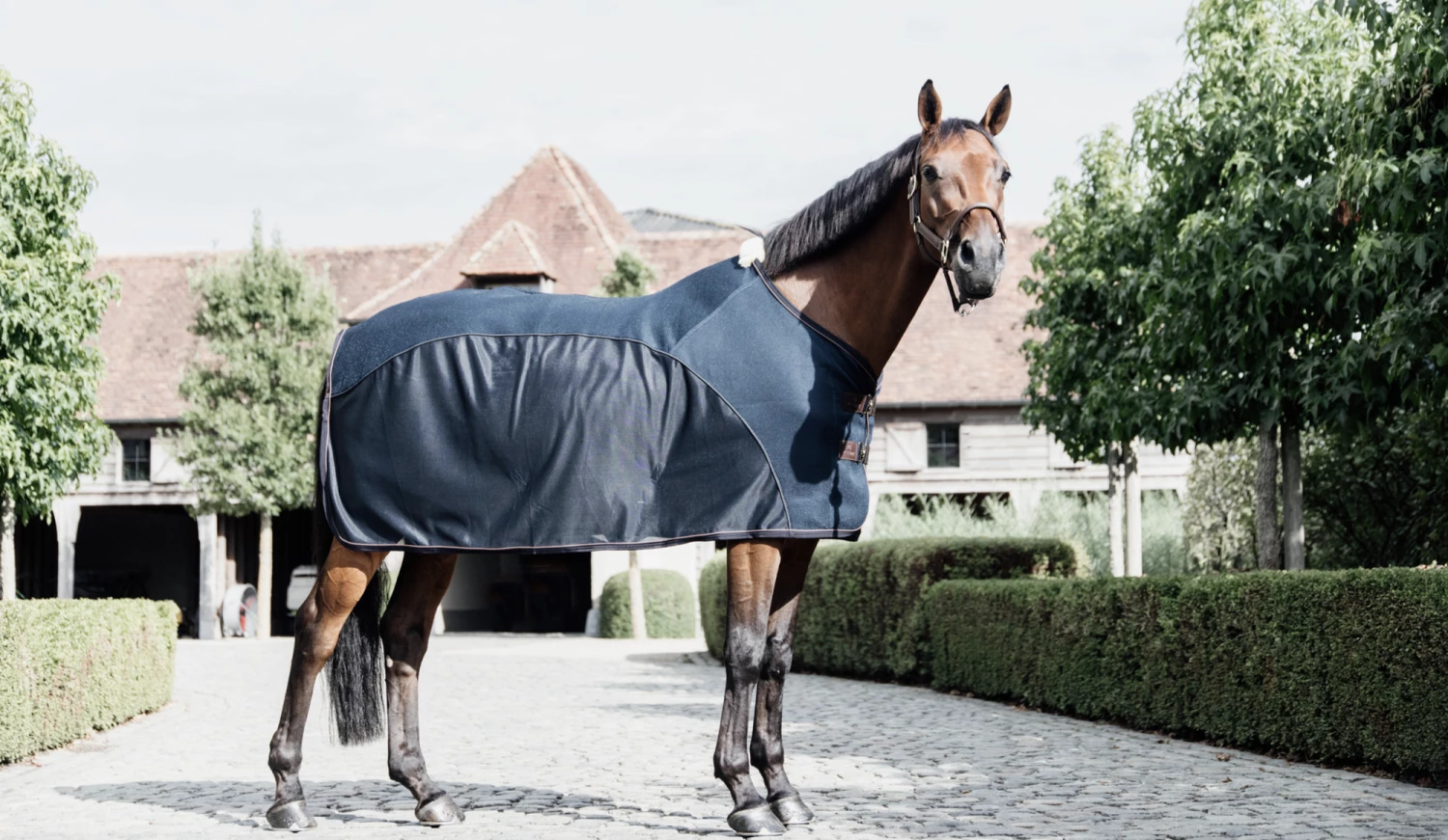 Kentucky Horsewear Mesh Combo Cooler Sheet, Navy 2 Kentucky Horsewear Mesh Combo Cooler Sheet, Navy - Image 2