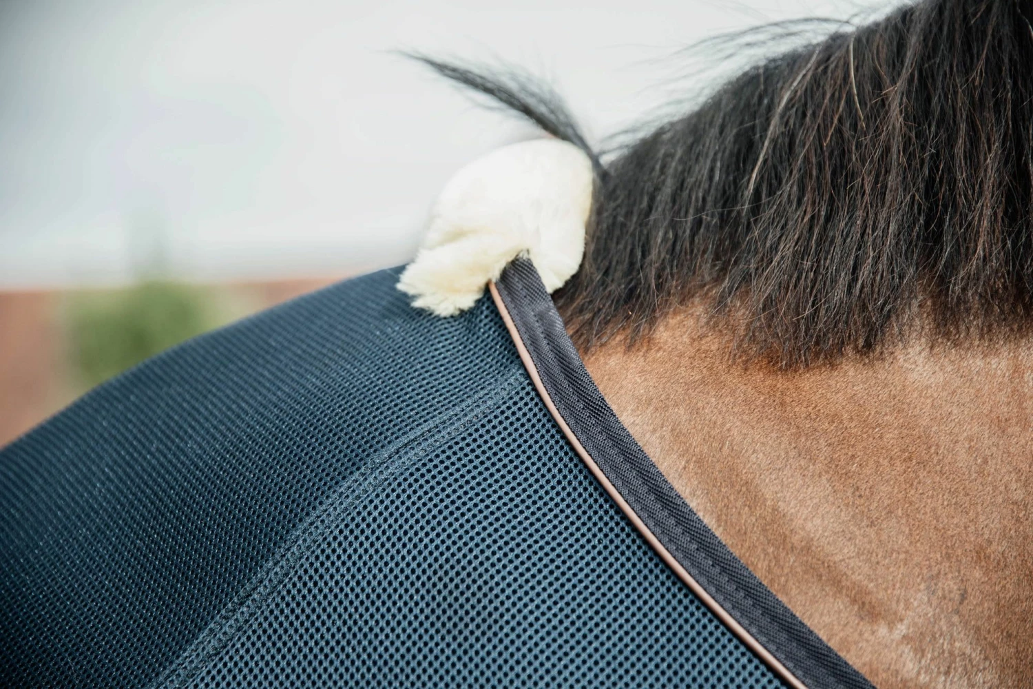 Kentucky Horsewear Mesh Combo Cooler Sheet, Navy 4 Kentucky Horsewear Mesh Combo Cooler Sheet, Navy - Image 4