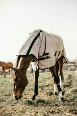 Kentucky Horsewear Mesh Fly Sheet, Beige -Pet Supplies Sales Shop kentucky horsewear mesh fly sheet beige 647114 en