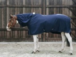 Kentucky Horsewear Neck Cover "Cooler Fleece" 15 Kentucky Horsewear Neck Cover "Cooler Fleece" -Pet Supplies Sales Shop kentucky horsewear neck cover cooler fleece 1 pc 549980 en