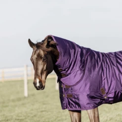 Kentucky Horsewear Neck Piece - All Weather Pro 150 G, Royal Purple -Pet Supplies Sales Shop kentucky horsewear neck piece all weather pro 150 g royal purple xl 832978 en