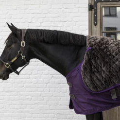 Kentucky Horsewear Neck Piece - All Weather Pro 150 G, Royal Purple -Pet Supplies Sales Shop kentucky horsewear neck piece all weather pro 150 g royal purple xl 832984 en