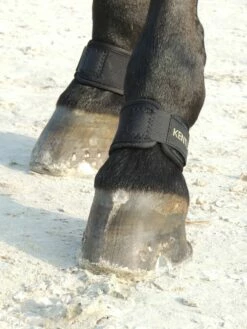Kentucky Horsewear Pastern Wrap -Pet Supplies Sales Shop kentucky horsewear pastern wrap 1 pair 519059 en