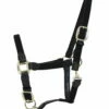 Kentucky Horsewear Plaited Nylon Halter, Black