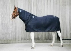 Kentucky Horsewear "Recuptex" Neck Cover -Pet Supplies Sales Shop kentucky horsewear recuptex neck cover 549840 en