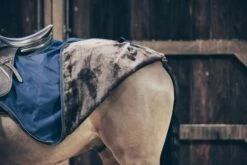Kentucky Horsewear Riding Rug "All Weather" -Pet Supplies Sales Shop kentucky horsewear riding rug all weather 537249 en