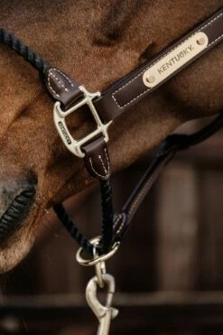 Kentucky Horsewear "Rope" Leather Halter -Pet Supplies Sales Shop kentucky horsewear rope leather halter 568306 en