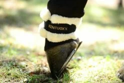 Kentucky Horsewear Sheepskin Pastern Wrap 6 Kentucky Horsewear Sheepskin Pastern Wrap -Pet Supplies Sales Shop kentucky horsewear sheepskin pastern wrap 1 pair 519089 en