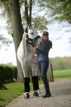 Kentucky Horsewear Sheepskin Shipping Halter - Black 9 Kentucky Horsewear Sheepskin Shipping Halter - Black -Pet Supplies Sales Shop kentucky horsewear sheepskin shipping halter black 517589 en