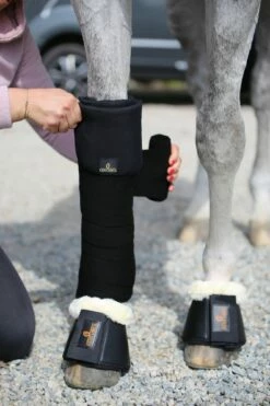 Kentucky Horsewear Stable Bandage Pads -Pet Supplies Sales Shop kentucky horsewear stable bandage pads black 518439 en