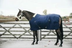 Kentucky Horsewear Stable Rug - Marine 7 Kentucky Horsewear Stable Rug - Marine -Pet Supplies Sales Shop kentucky horsewear stable rug marine 540736 en