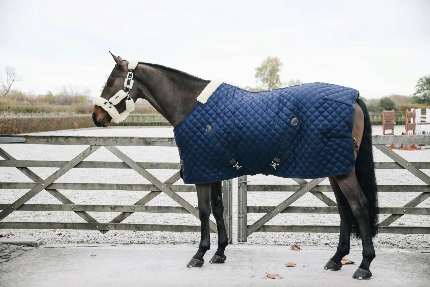 Kentucky Horsewear Stable Rug - Marine 2 Kentucky Horsewear Stable Rug - Marine - Image 2