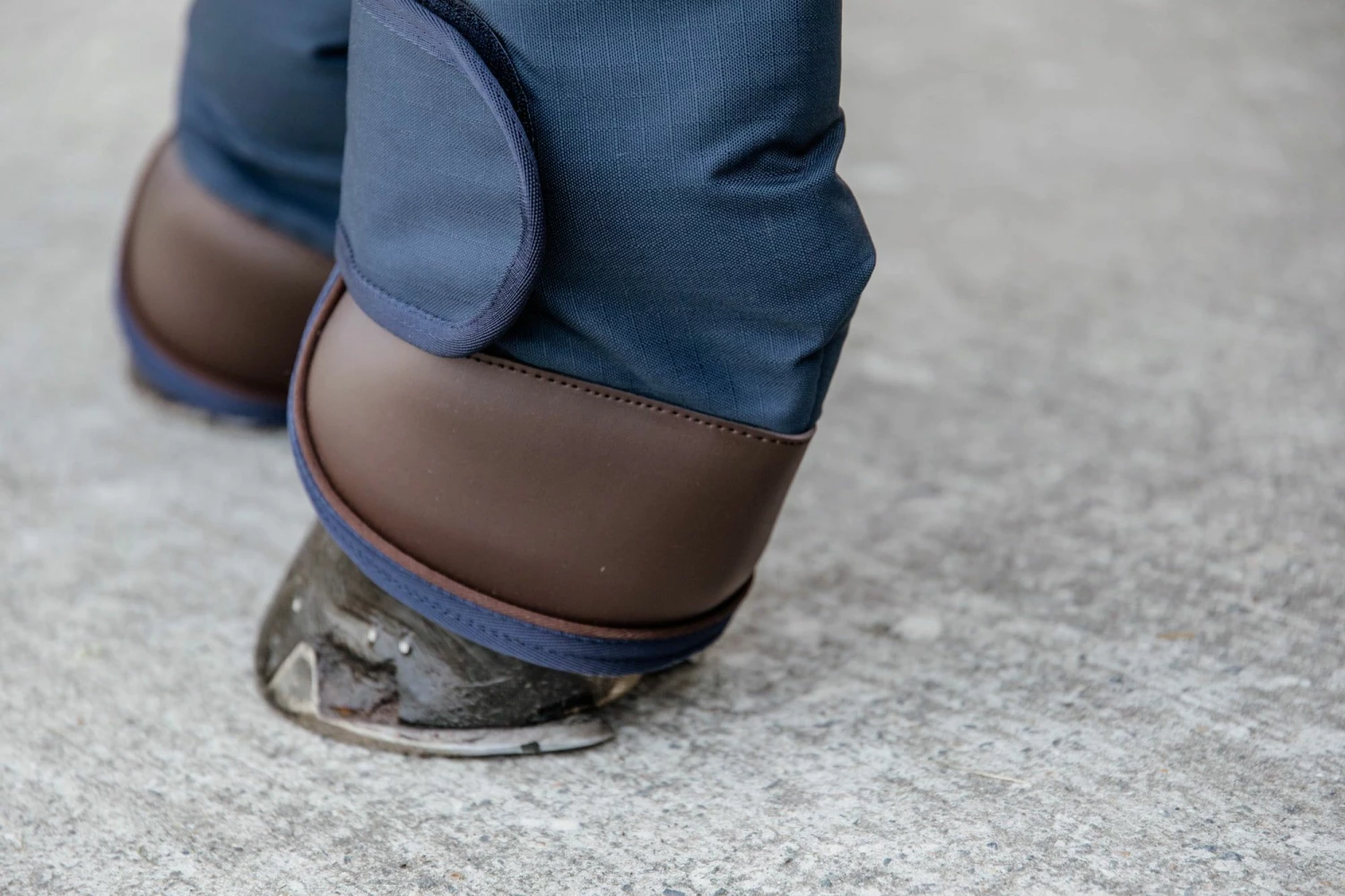 Kentucky Horsewear Transport Gaiters, Navy, Full 3 Kentucky Horsewear Transport Gaiters, Navy, Full - Image 3