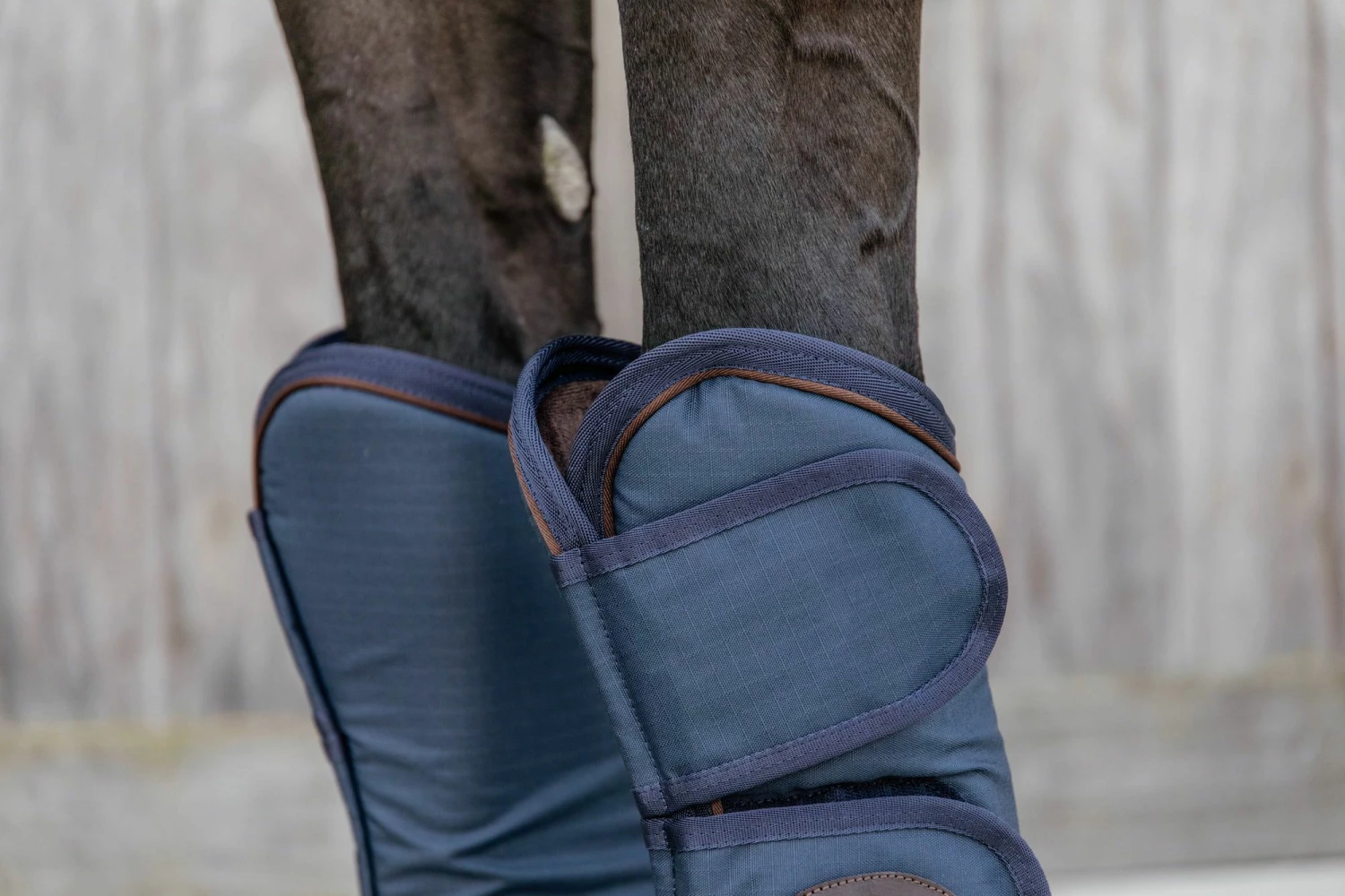 Kentucky Horsewear Transport Gaiters, Navy, Full 5 Kentucky Horsewear Transport Gaiters, Navy, Full - Image 5