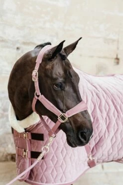 Kentucky Horsewear "Velvet" Competition Rug, Old Pink -Pet Supplies Sales Shop kentucky horsewear velvet competition rug old pink 687012 en