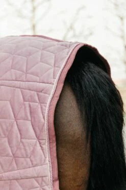 Kentucky Horsewear "Velvet" Competition Rug, Old Pink -Pet Supplies Sales Shop kentucky horsewear velvet competition rug old pink 687040 en