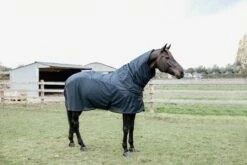 Kentucky Horsewear Waterproof Combo Fly Rug Classic, Navy -Pet Supplies Sales Shop kentucky horsewear waterproof combo fly rug classic navy 725107 en