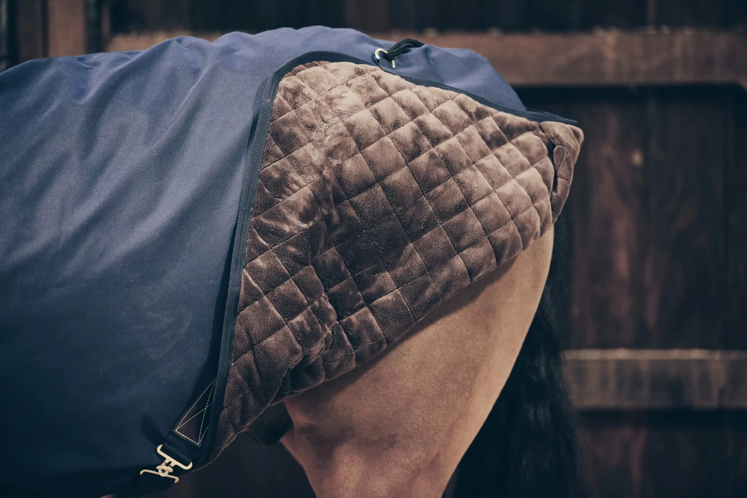 Kentucky Horsewear Waterproof Walker Rug 3 Kentucky Horsewear Waterproof Walker Rug - Image 3