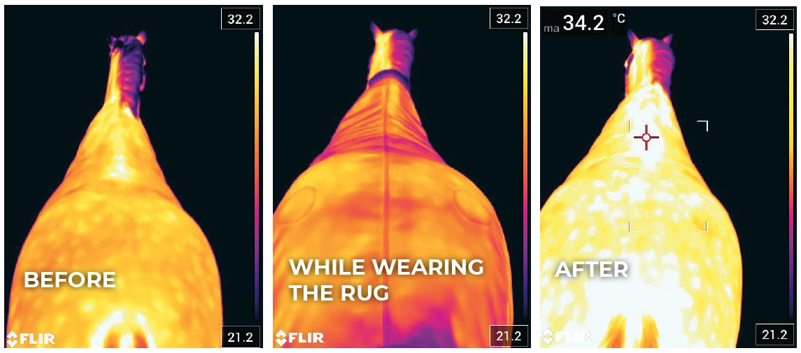 Kentucky Horsewear Waterproof Walker Rug 5 Kentucky Horsewear Waterproof Walker Rug - Image 5