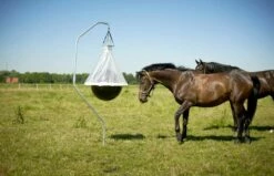 Kerbl Horsefly Trap TAON-X -Pet Supplies Sales Shop kerbl horsefly trap taon x 1 pc 617441 en