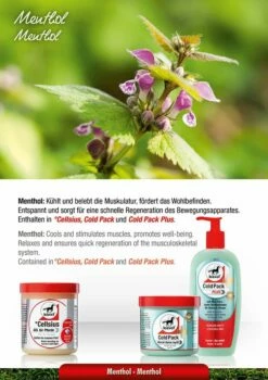 Leovet CELLSIUS Gel For Horses -Pet Supplies Sales Shop leovet cellsius gel for horses 600 ml 614761 en