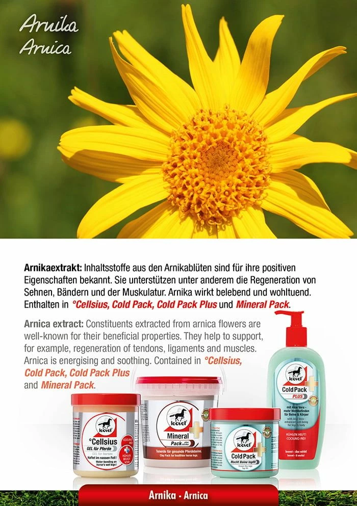 Leovet COLD PACK Pharmacy Horse Ointment 2 Leovet COLD PACK Pharmacy Horse Ointment - Image 2