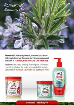 Leovet COLD PACK Pharmacy Horse Ointment 7 Leovet COLD PACK Pharmacy Horse Ointment -Pet Supplies Sales Shop leovet cold pack pharmacy horse ointment 615312 en