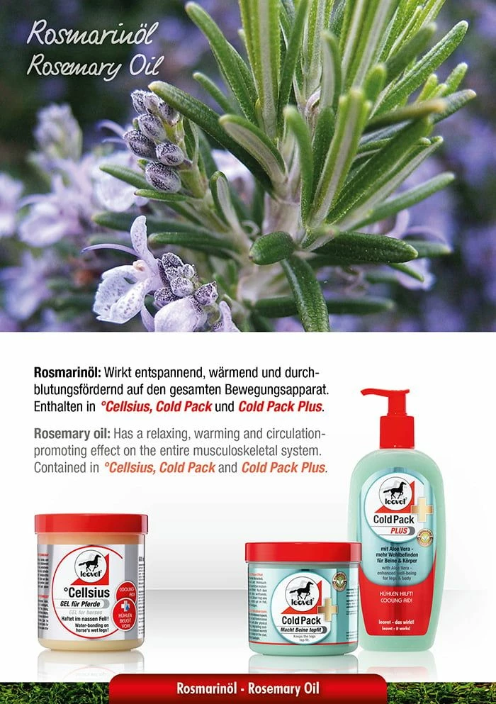 Leovet COLD PACK Pharmacy Horse Ointment 4 Leovet COLD PACK Pharmacy Horse Ointment - Image 4