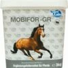 NutriLabs MOBIFOR-GR Powder For Horses