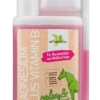 Bense & Eicke Magnesium Plus Vitamin B