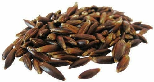 Pavo Cereals Black Oats 2 Pavo Cereals Black Oats - Image 2