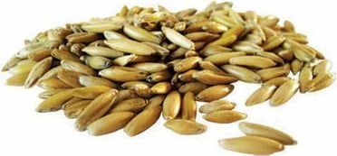 Pavo Cereals Golden Oats 2 Pavo Cereals Golden Oats - Image 2