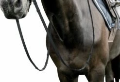 PRESTIGE Italia Leather Dressage Reins 16 Mm -Pet Supplies Sales Shop prestige leather dressage reins 16 mm black 829772 en