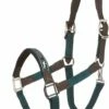 Schockemöhle Sports Acron Style Halter, Bottle Green