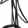 Schockemöhle Sports Bridle Classic Line "Oslo" - Black/Silver
