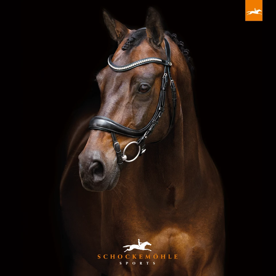 Schockemöhle Sports "Equitus Beta" Bridle Anatomic Line, Black 2 Schockemöhle Sports "Equitus Beta" Bridle Anatomic Line, Black - Image 2