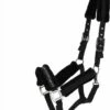 Schockemöhle Sports Melbourne Style Halter, Cool Black