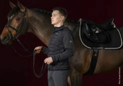 Schockemöhle Sports Men's Hybrid Jacket - Drake, Graphite -Pet Supplies Sales Shop schockemoehle sports mens hybrid jacket drake graphite xxl 842506 en