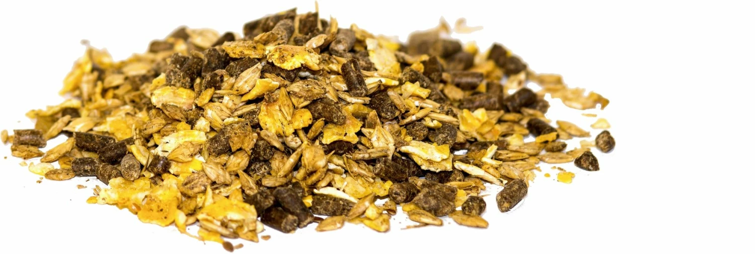 Siglhorse Powerhouse 2 Siglhorse Powerhouse - Image 2