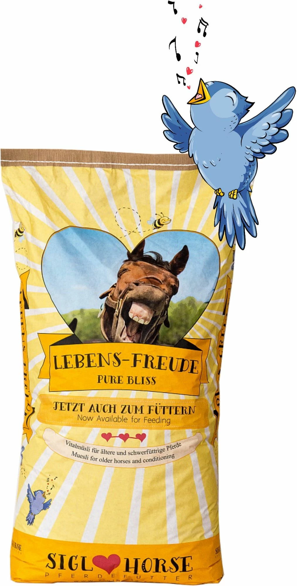 Siglhorse Pure Bliss 1 Siglhorse Pure Bliss