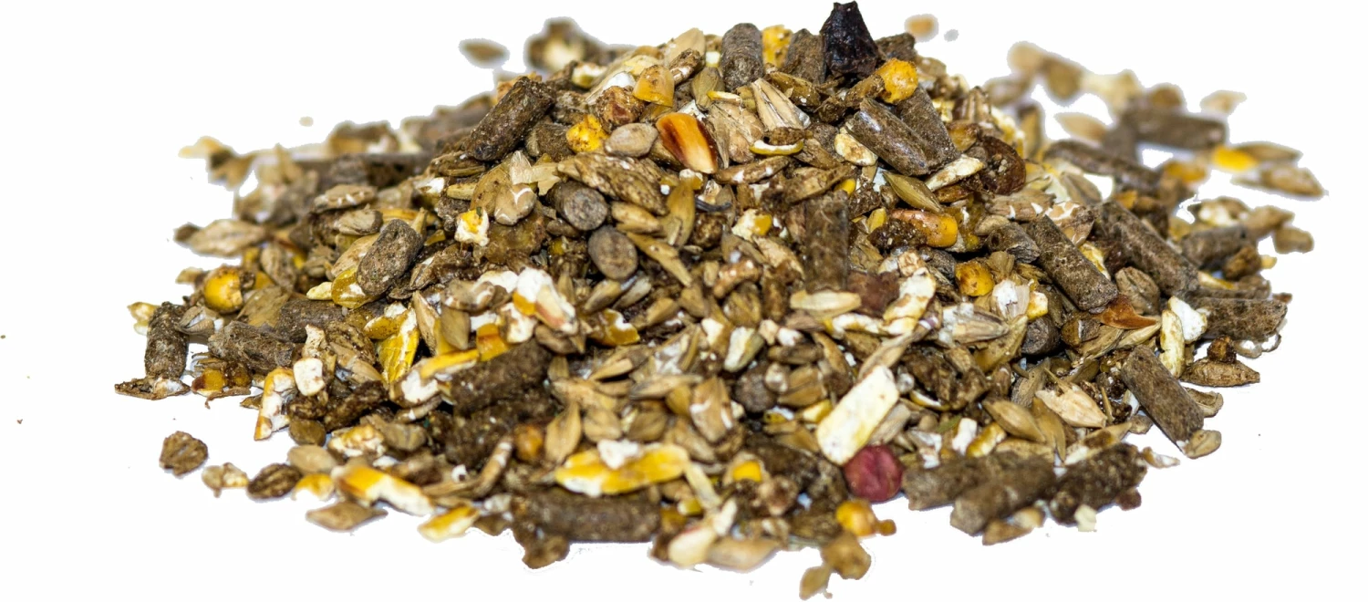 Siglhorse Simply Good 2 Siglhorse Simply Good - Image 2