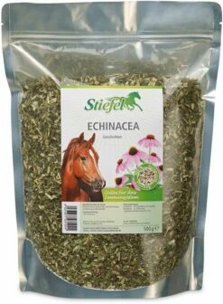 Stiefel Echinacea, Cut